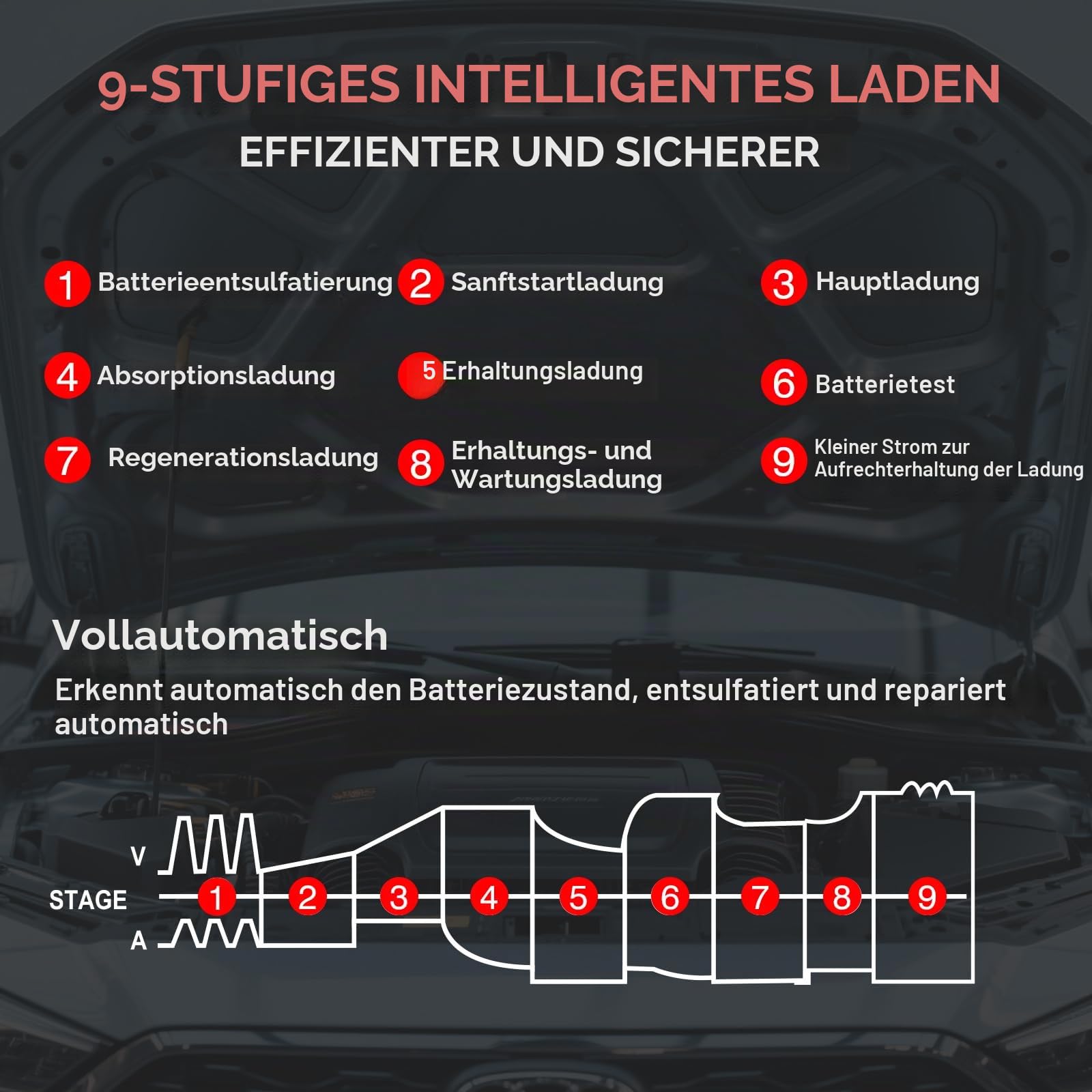 Haisito Autobatterie Ladegerät 40A, LCD-Display, 6V/12V/24V Batterieladegerät ist geeignet für Autos, landwirtschaftliche Fahrzeuge, Boote, Lithium LiFePO4 und Blei-Säure (AGM, MF, EFB usw.)