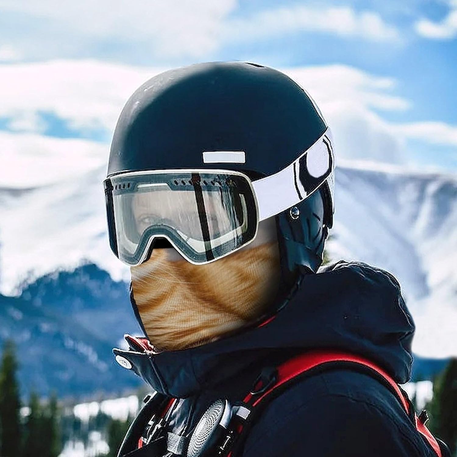 Balaclava Face Mask for Men Women Sun Protection Full Face Cover | Breathable Cute Cat Full Face Mask Windproof Ski Mask Motorcycle Helmet Lining for Outdoor Sport Cycling
