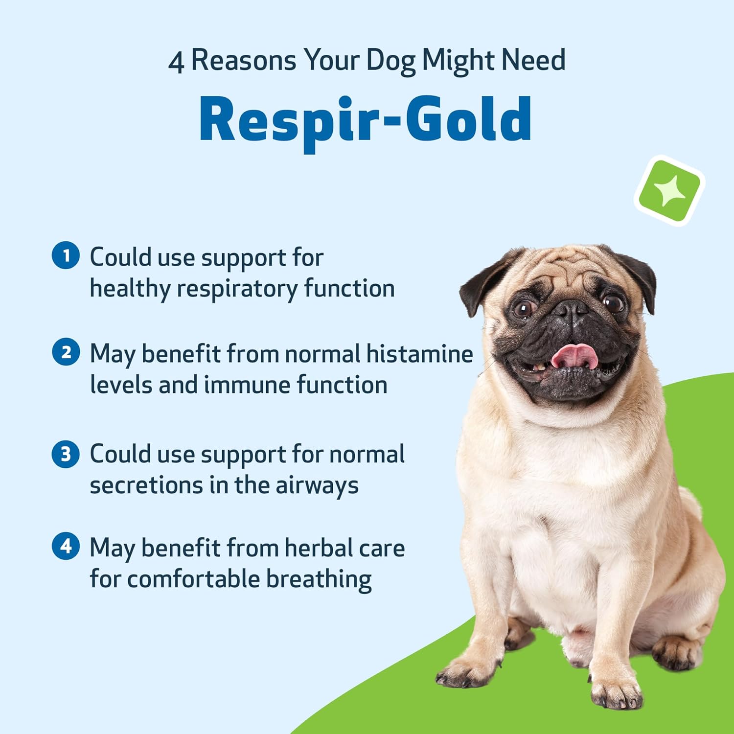 Pet Wellbeing Respir-Gold for Dogs - Lower Respiratory Support, Holistic Lung Health & Deep Breathing with Black Cumin & Horehound - NASC Certified & Vet Formulated - 2 oz Liquid Formula