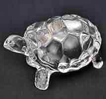 【Juggad 14】HORIZON CLEAR TORTOISE 71bGSikt7-L._AC_SY200_QL15_.jpg
