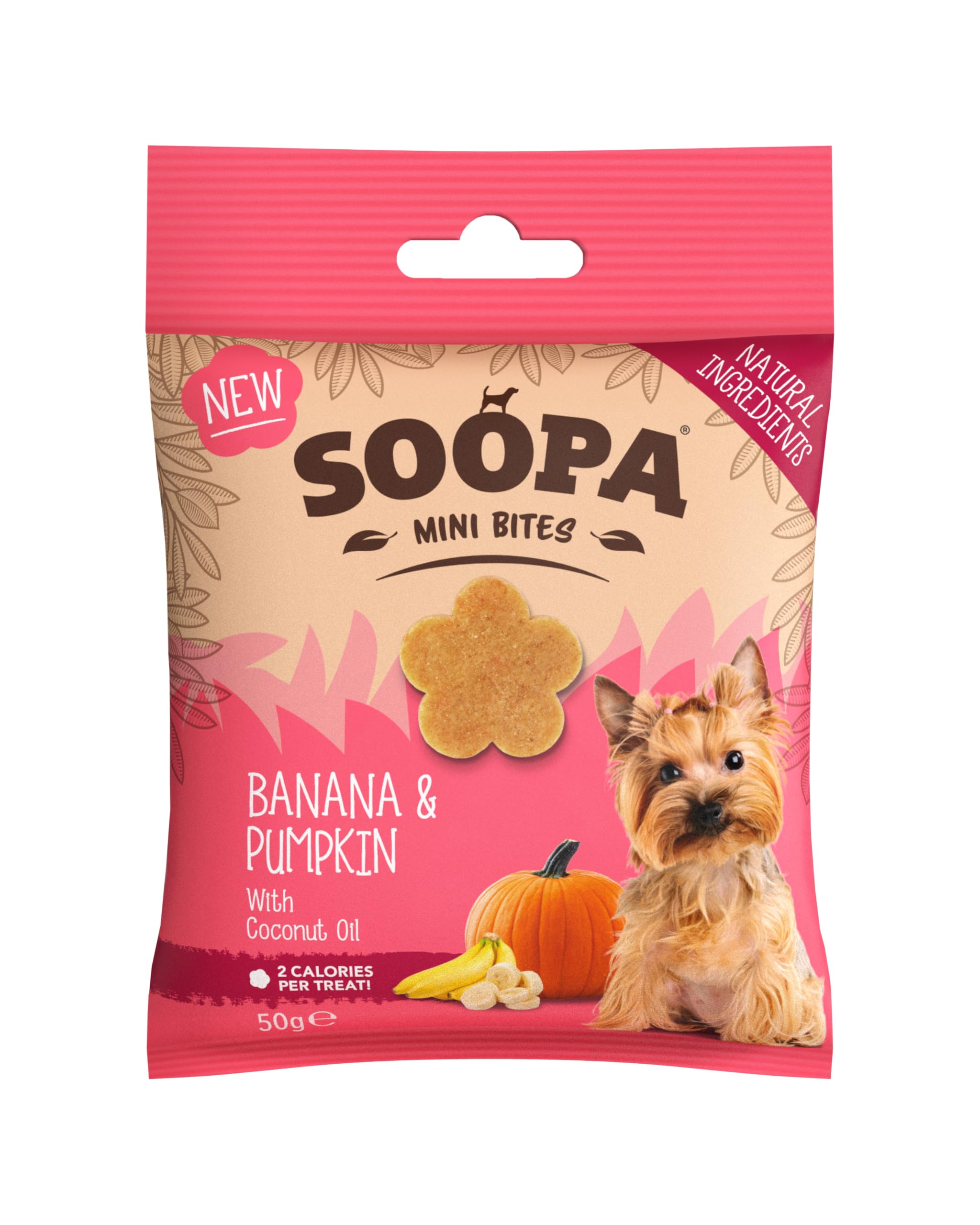 Soopa MINI Healthy Bites (Banana & Pumpkin) 50g