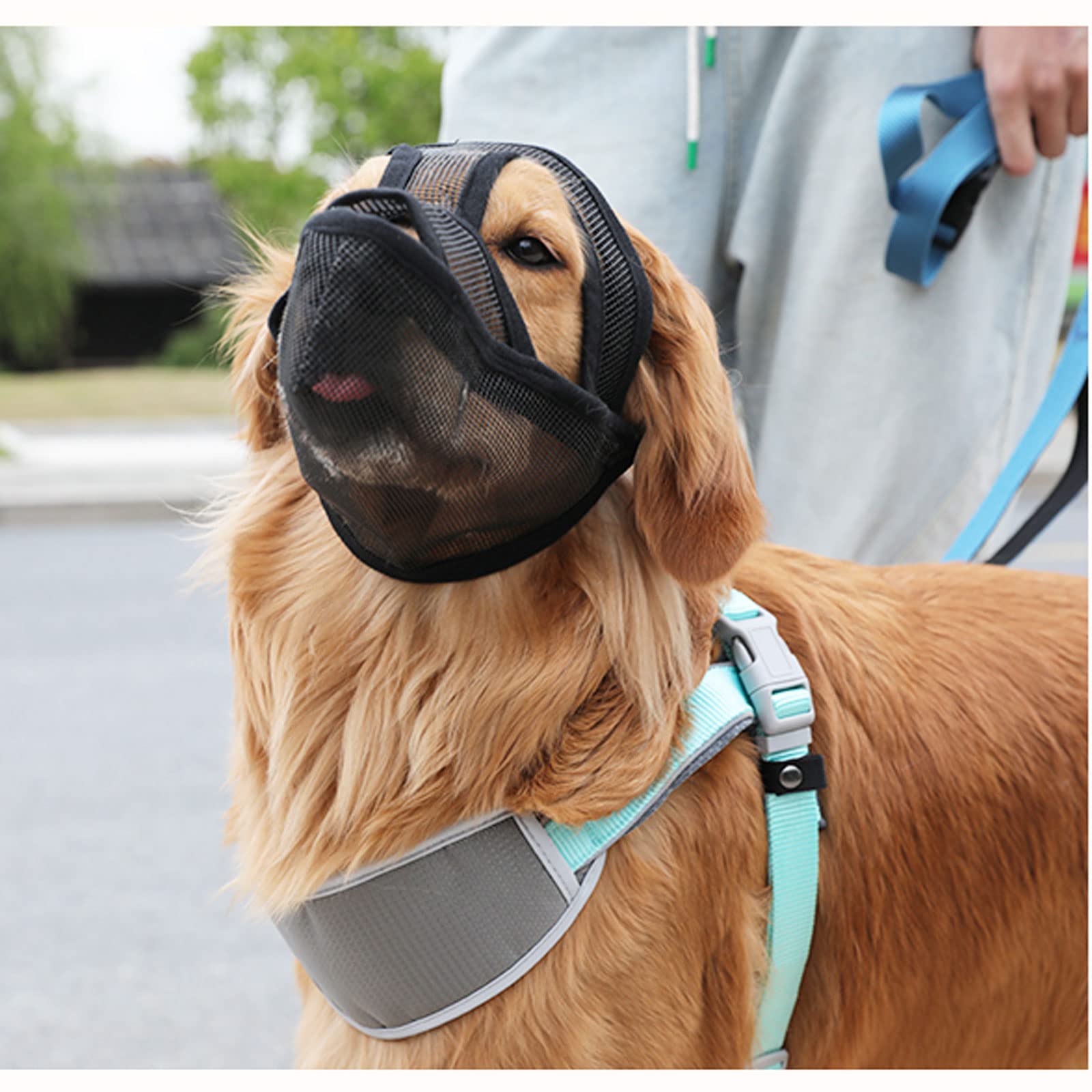 bozal de Perro Bozales de Boca de Perro,Bozal para Perros,Bozal Perros Bozal Antimordeduras Perro Dog Muzzle para Perros Pequeños Medianos Grandes.-Orange||L
