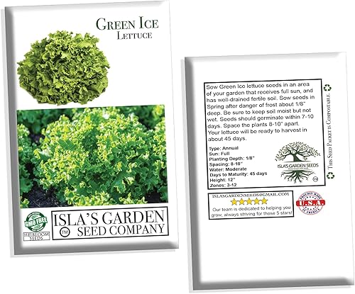 Miniatura 6 de Semillas de lechuga verde de hoja de hielo para plantar, más de 1000 semillas de reliquia por paquete, semillas de jardín de Isla (semillas de