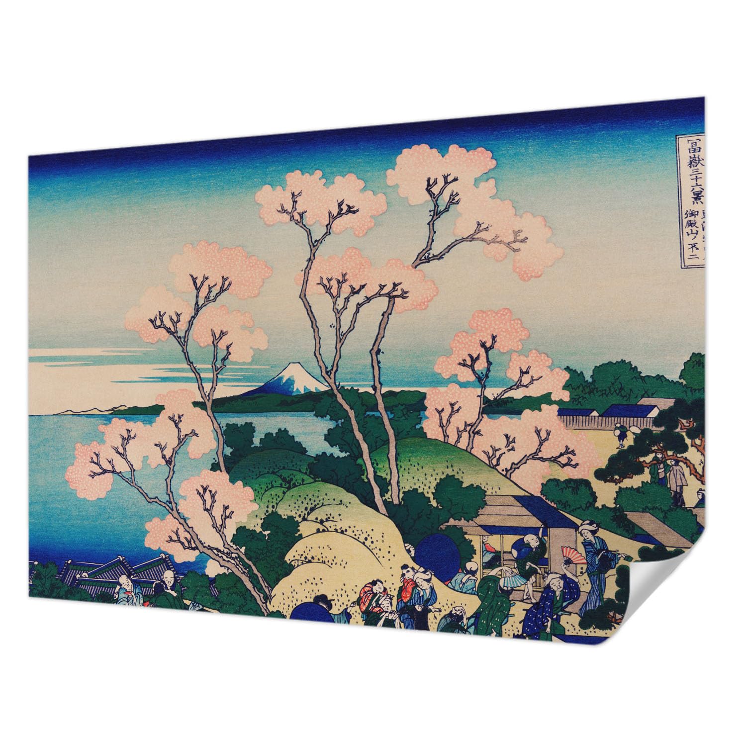 Papier peint adhésif résistant aux taches 312x219 cm fleurs de cerisier