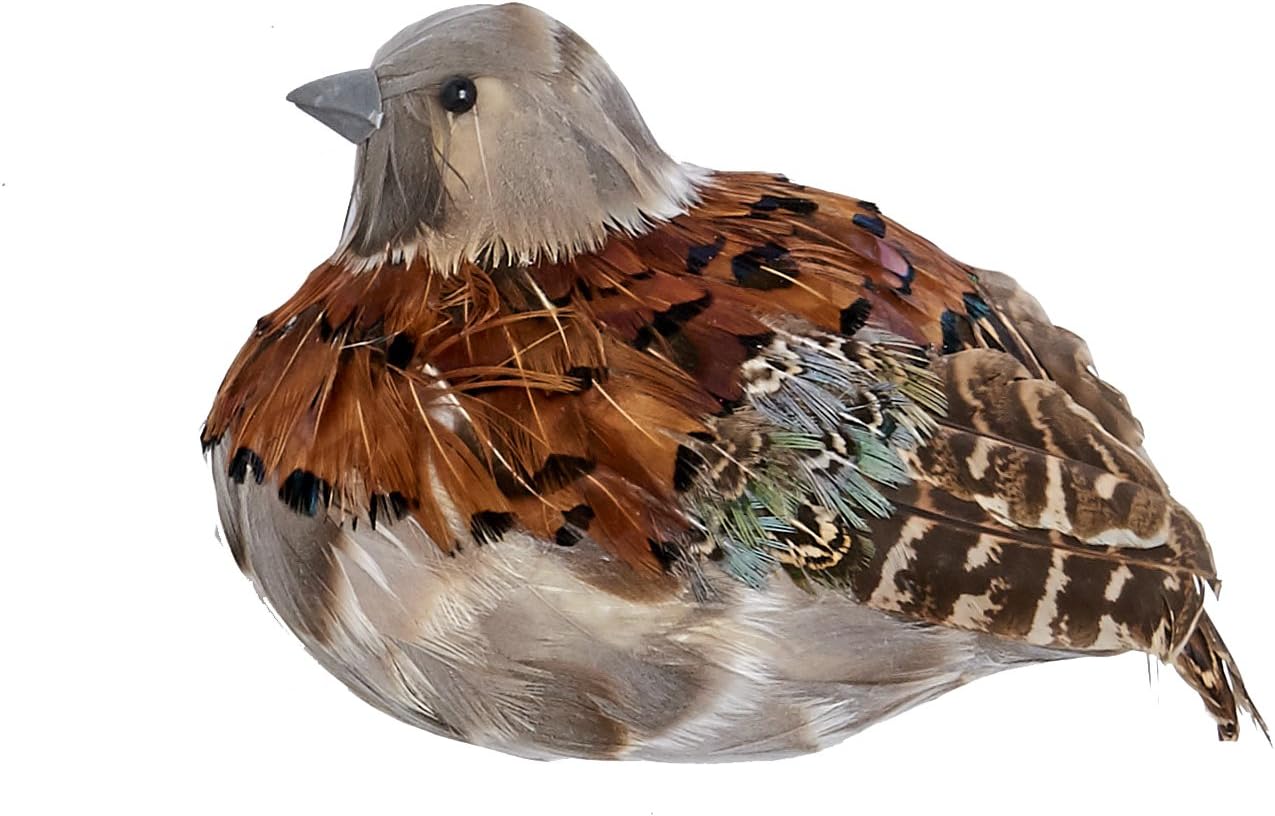 Worth Imports 1688 Feathered Partridge