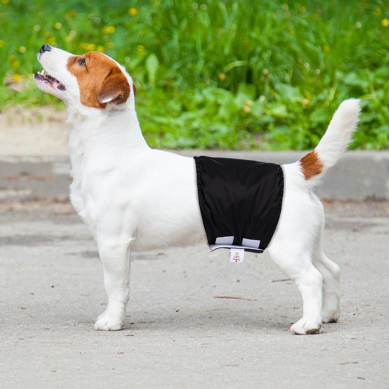 CuteBone Hundewindeln männliche waschbare Bauchband für männliche Hunde Wraps 3pcs a Pack DM44L-DE