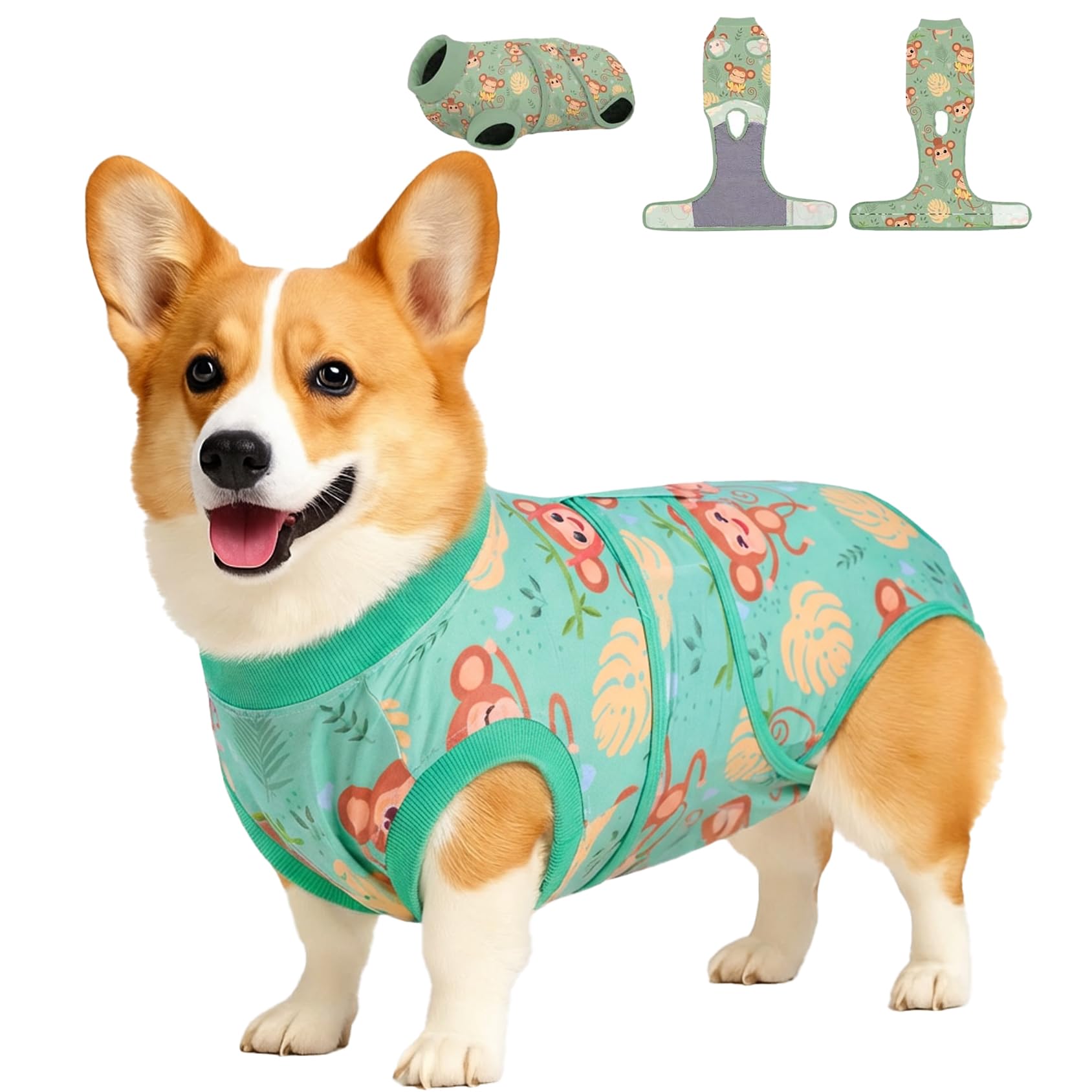 Combinaison de convalescence pour chiens alternative au cône médical gilet anti-léchage des plaies
