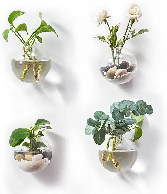 Hanging Glass Terrarium with Hangers - 4" Wall Planter Set