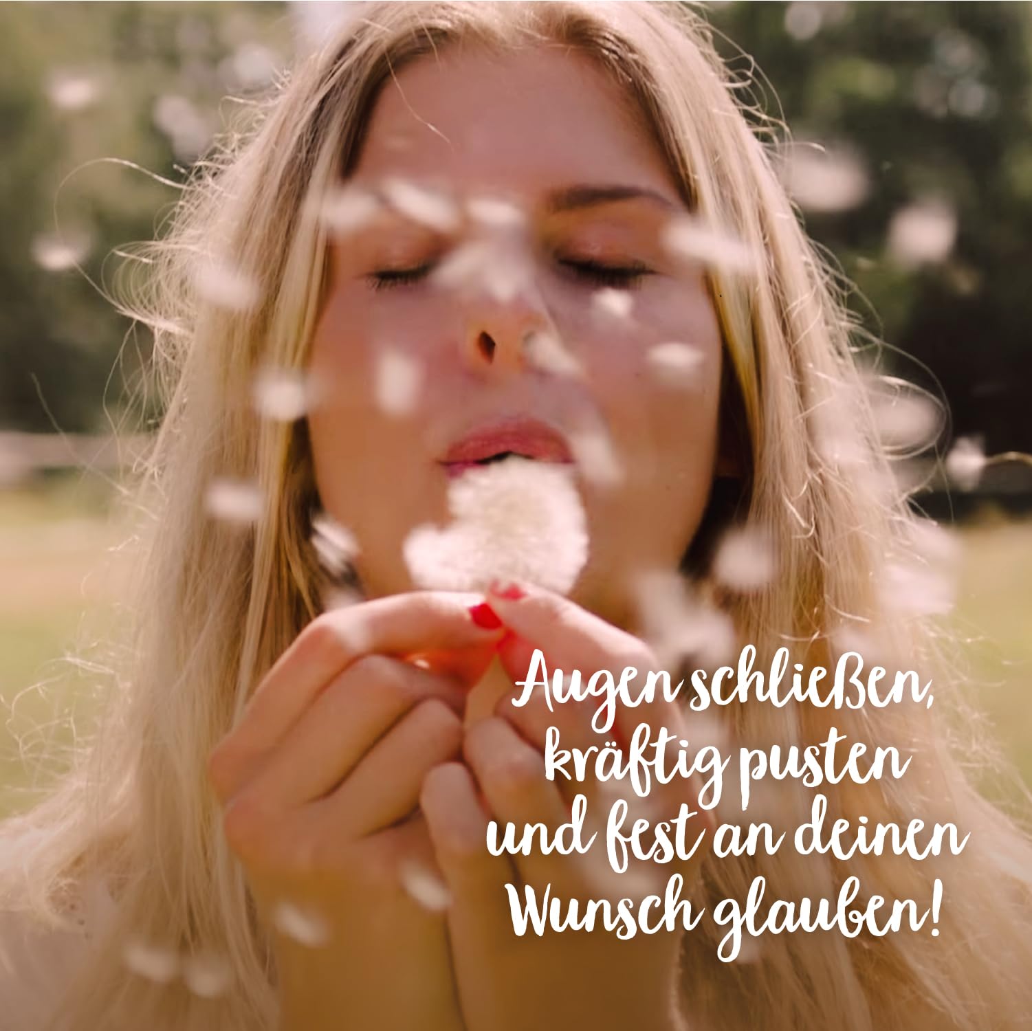 Die Stadtgärtner – Wunscherfüller I Echte Pusteblume im Glas I Ewig haltbar I Perfekte Geschenkidee für jeden Anlass I Geschenke für Frauen & Freundin