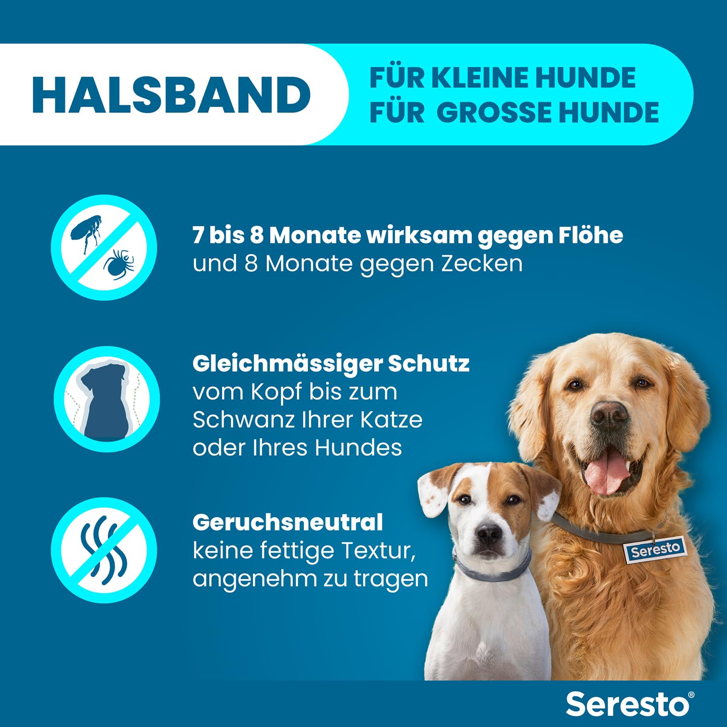 Seresto Zeckenhalsband Kombi-Set für große & kleine Hunde, 2 Halsbänder | Praktisches Set mit 1x für große Hunde (ab 8kg) & 1x für kleine Hunde (bis 8kg). Bis zu 8 Monate Schutz vor Flöhen & Zecken.