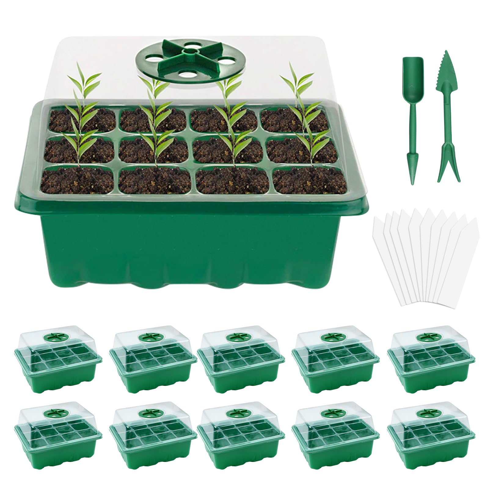 Mini Serre pour Plantes contre le Gel : Sauvez vos Jeunes Semis
