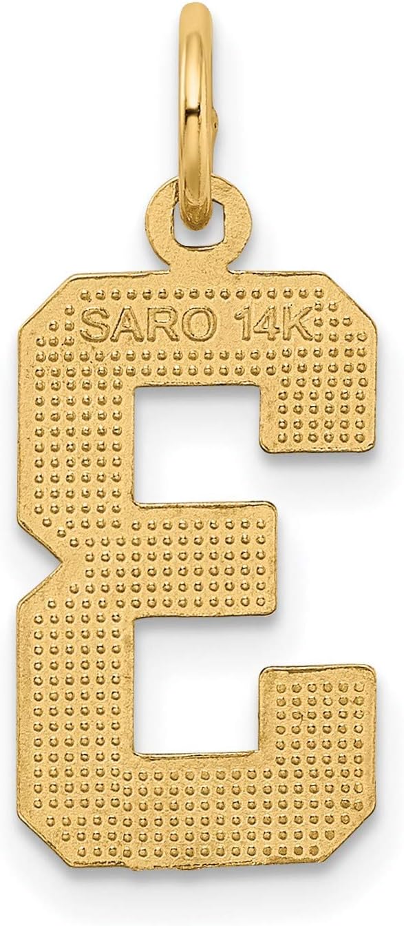 14k Yellow Gold Number 3 Pendant Charm for Necklace or Bracelet, Block Style Numeric Pendant with Textured and Polished Finish, Unisex Gold Jewelry for Men or Women, Symbolic Sports Accessory