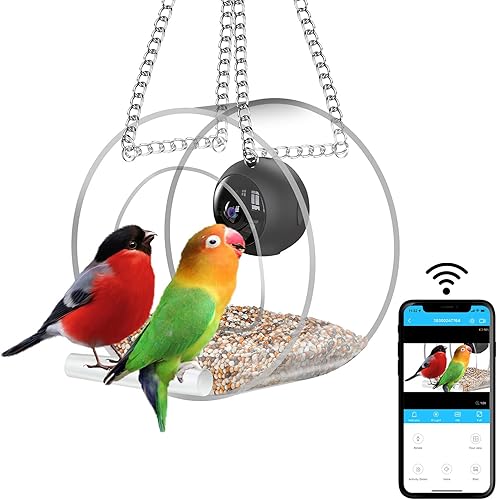 Miniatura 1 de Comedero de pájaros con cámara, alimentador inteligente para pájaros con cámara HD 1080p versión nocturna video inalámbrico al aire libre para