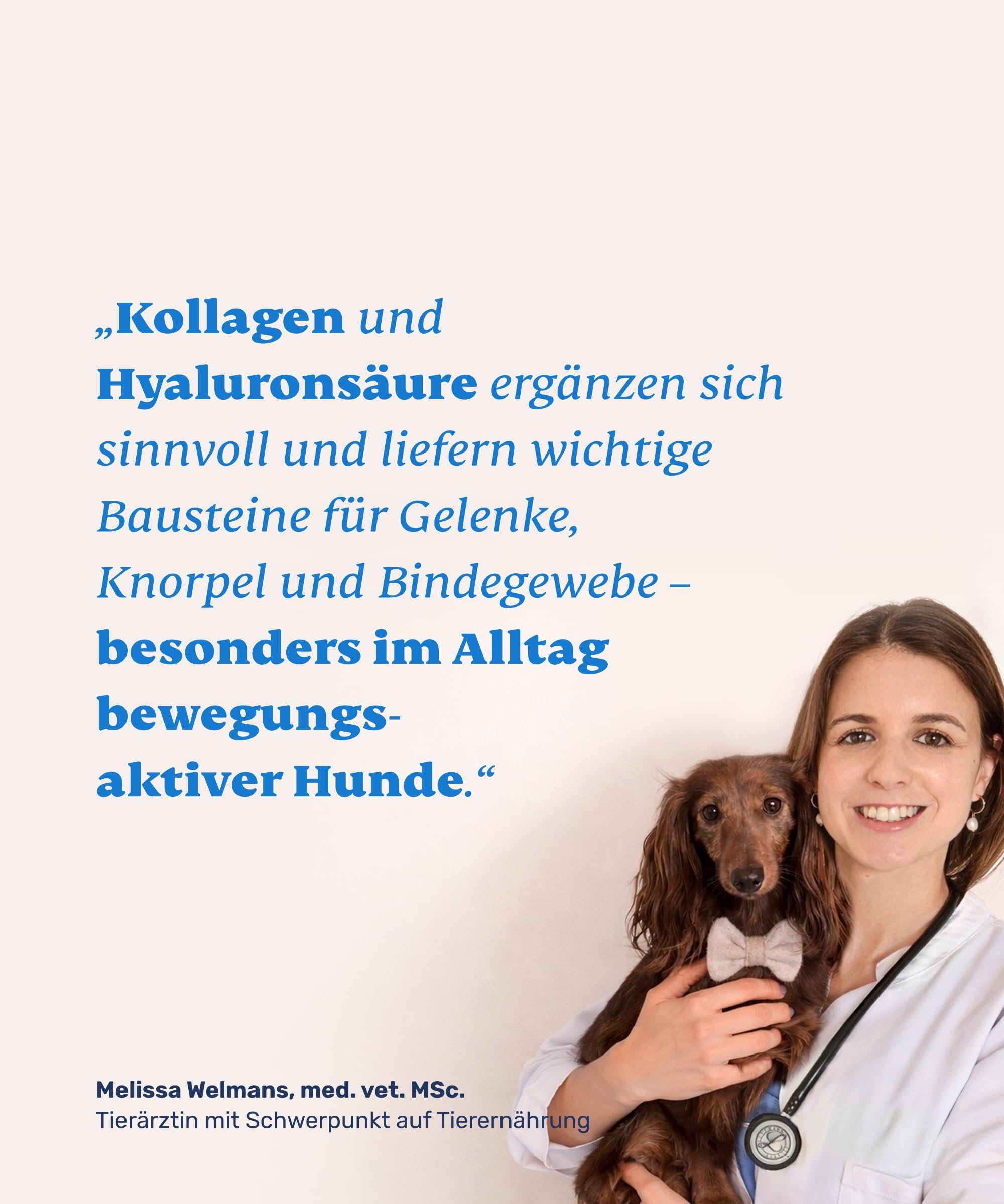 mammaly Kollagen & Hyaluron Pulver für Hunde - 99% Kollagenhydrolysat Gelenkpulver unterstützt Gelenke, Sehnen, Bänder - Natürliches Collagen Hund zur Nahrungsergänzung - 75g reichen bis zu 75 Tage