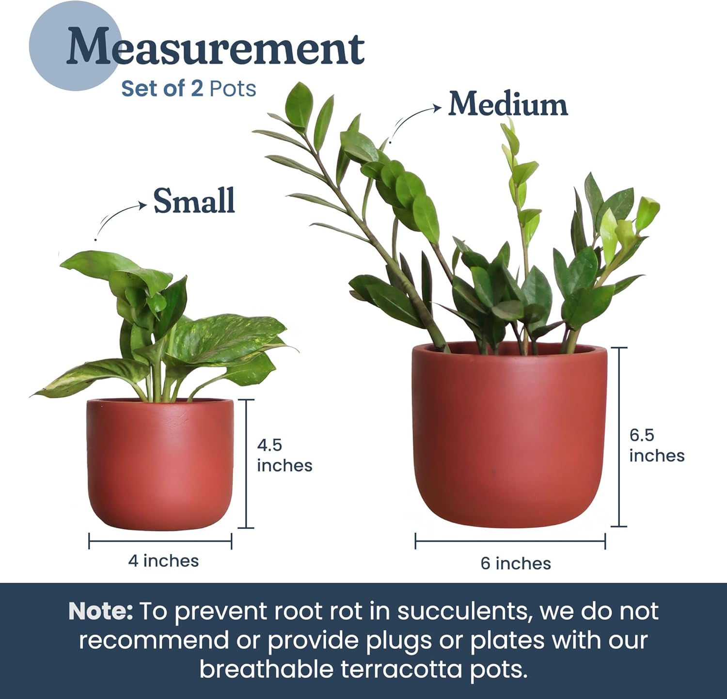 FINE Living 4 & 6 Inch Terracotta Pots for Plants, Set of 2, Ceramic Planter Clay Pots, Succulent Planter Pots with Drainage Hole and Mesh Net for Gifts, DIY Craft, Garden & Home Decor