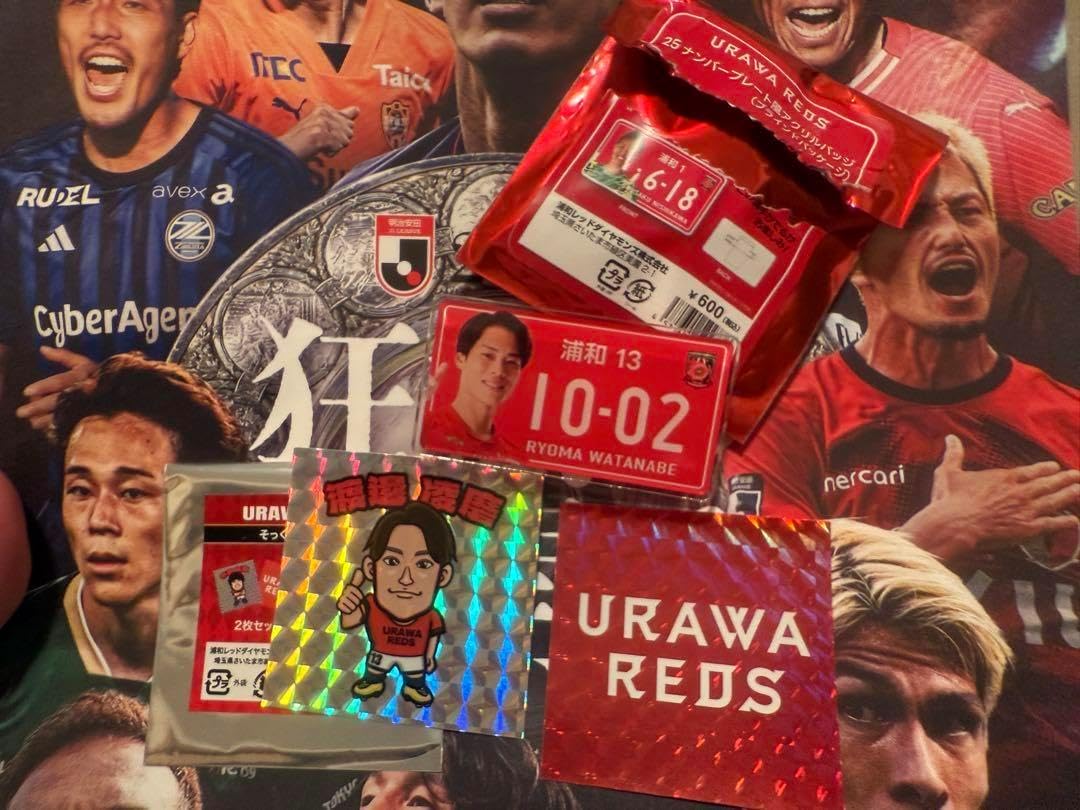 浦和レッズ ビクトリーユニフォーム 渡邊凌磨 VS京都サンガFC戦 XL