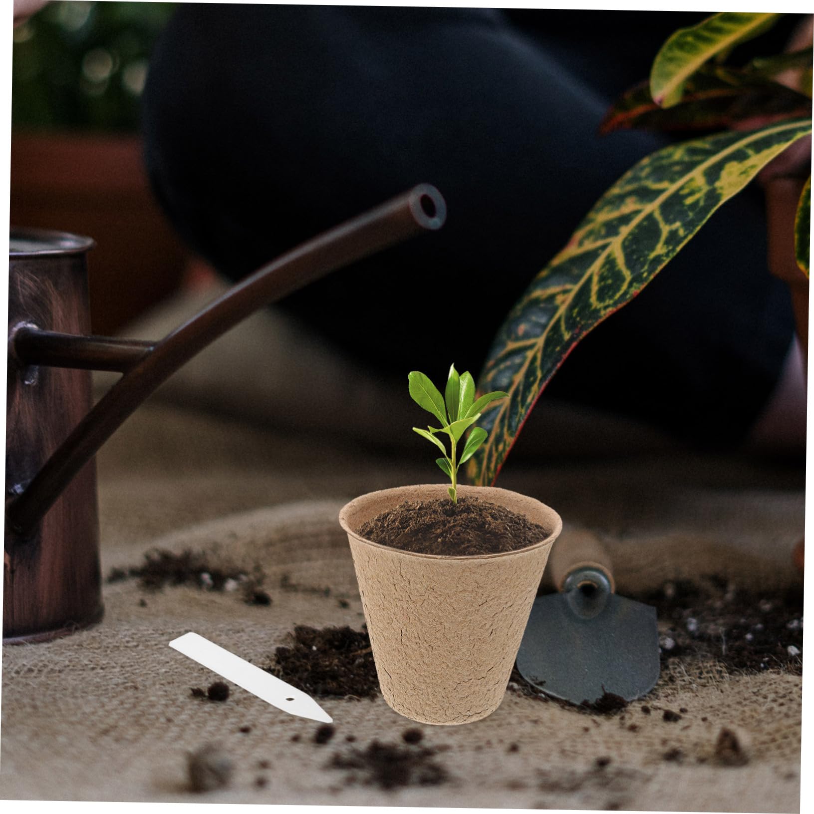 Abaodam Vasi da Vivaio Biodegradabili in Polpa di Carta Riciclata 110 Pezzi Etichette per Piantine, Vaso di Torba Iniziale per Semina e Trapianto, per Giardinaggio Domestico