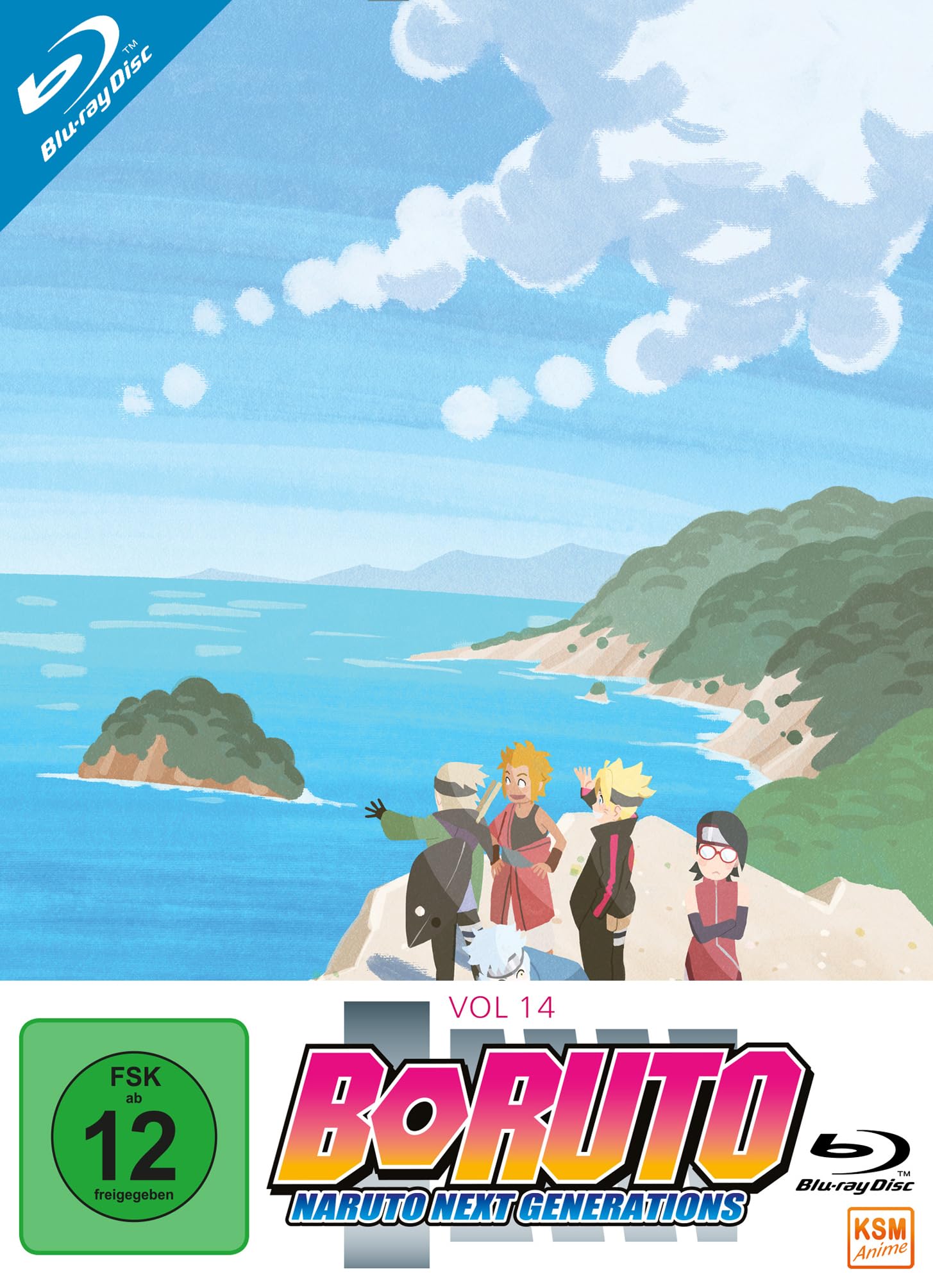 Boruto: Naruto Next Generations - Volume 14 (Ep. 233-246)