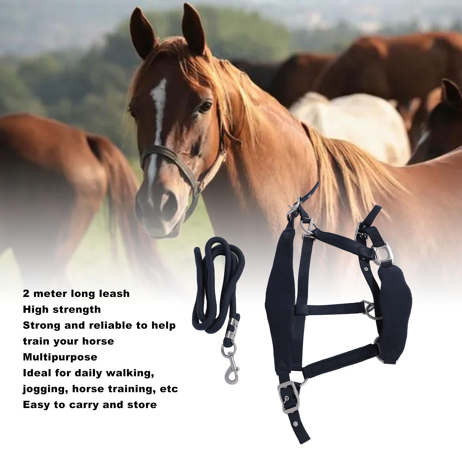 Asixxsix Cabestro de Caballo Ajustable, Banda para la Nariz Acolchada, Cojín para la Cabeza, Cabestro de Entrenamiento de Poliéster con Correa de 2 M, para