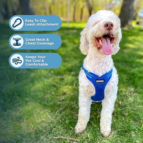 Miniatura 5 de Voyager de Best Pet Supplies - Arnés de malla totalmente ajustable con ribetes reflectantes 3M, azul real (ribete a juego), mediano (213-RBW-M)