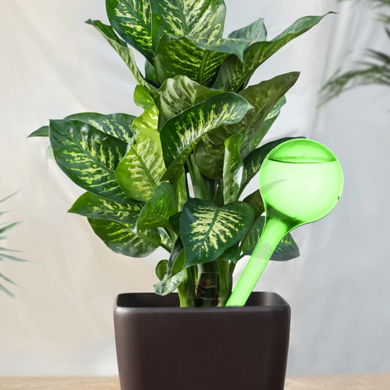 best plant fertilizer indoor Indoor Plant Fertilizer - Best Fertilizer for Plants