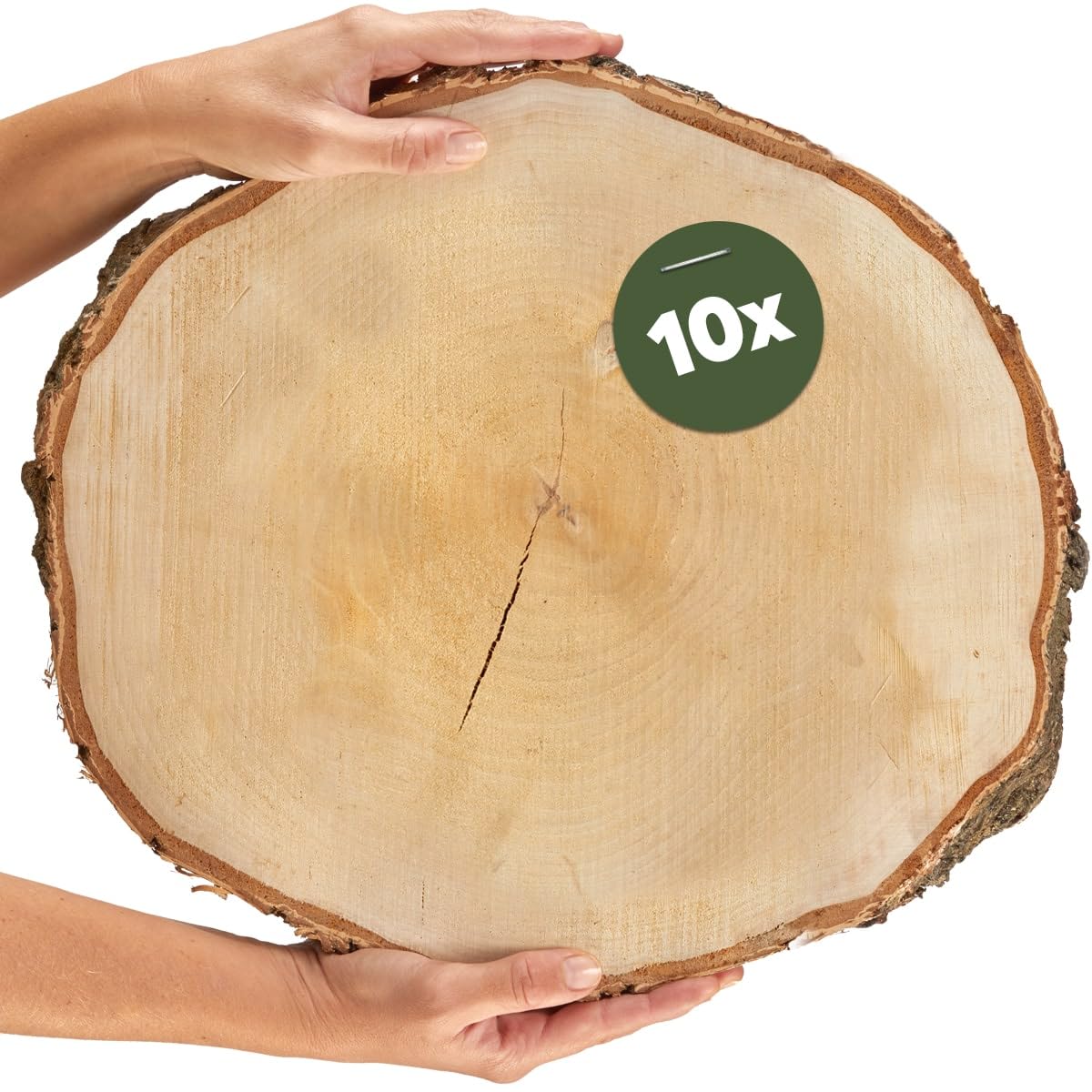 Große Holzscheiben zum Basteln oder Dekorieren - 10 Stück naturbelassene Baumscheiben ca. 35 cm (33 - 37 cm) Durchmesser aus Birkenholz - runde Holz Birkenscheiben als Holzdeko Holzplatten