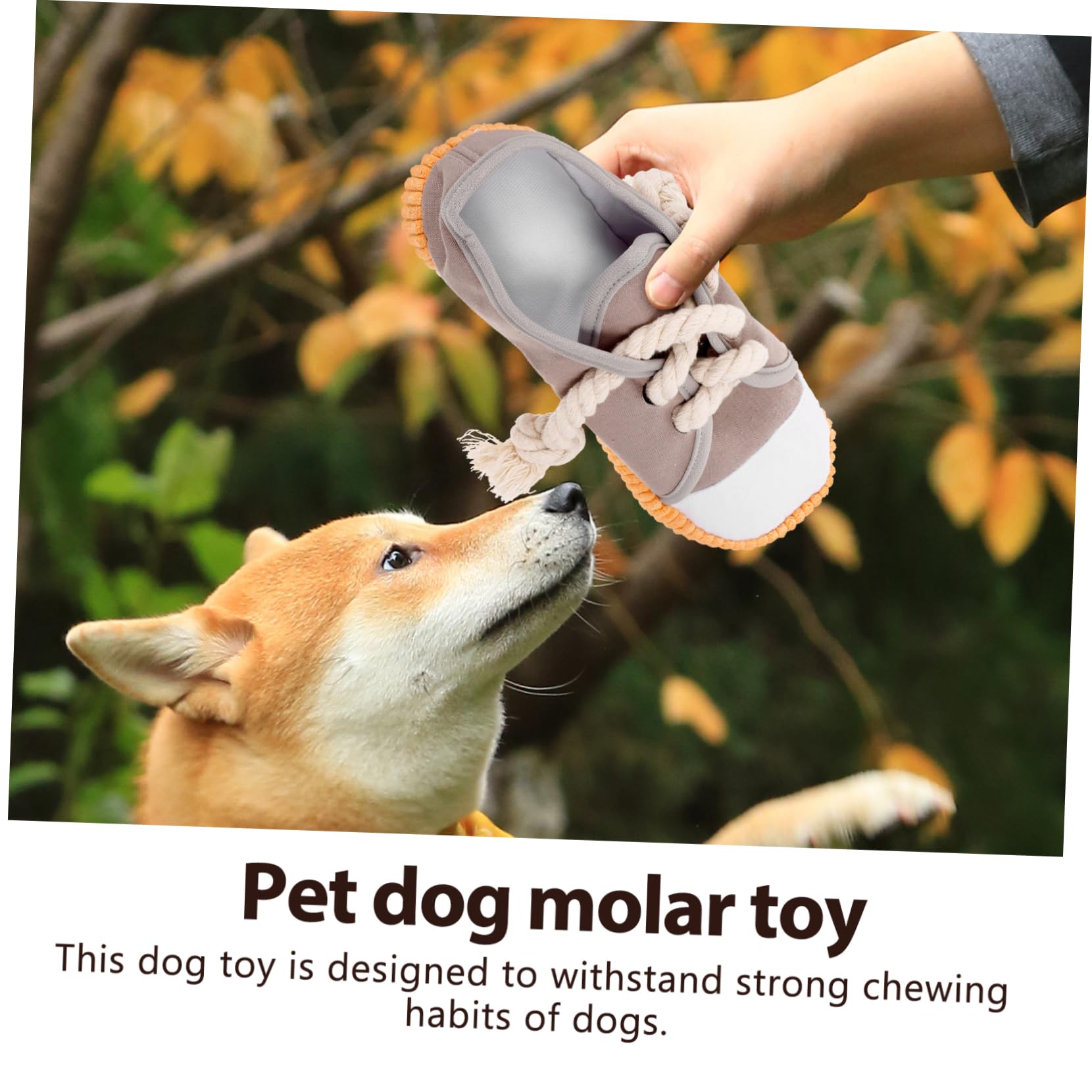 BESPORTBLE 5piezas Juguete para Perros Chirriante De Masticar Juguete Elástico para Limpiar Dientes para Cachorros y Perros Pequeños Diversión Interactiva y Relajación para Mascotas