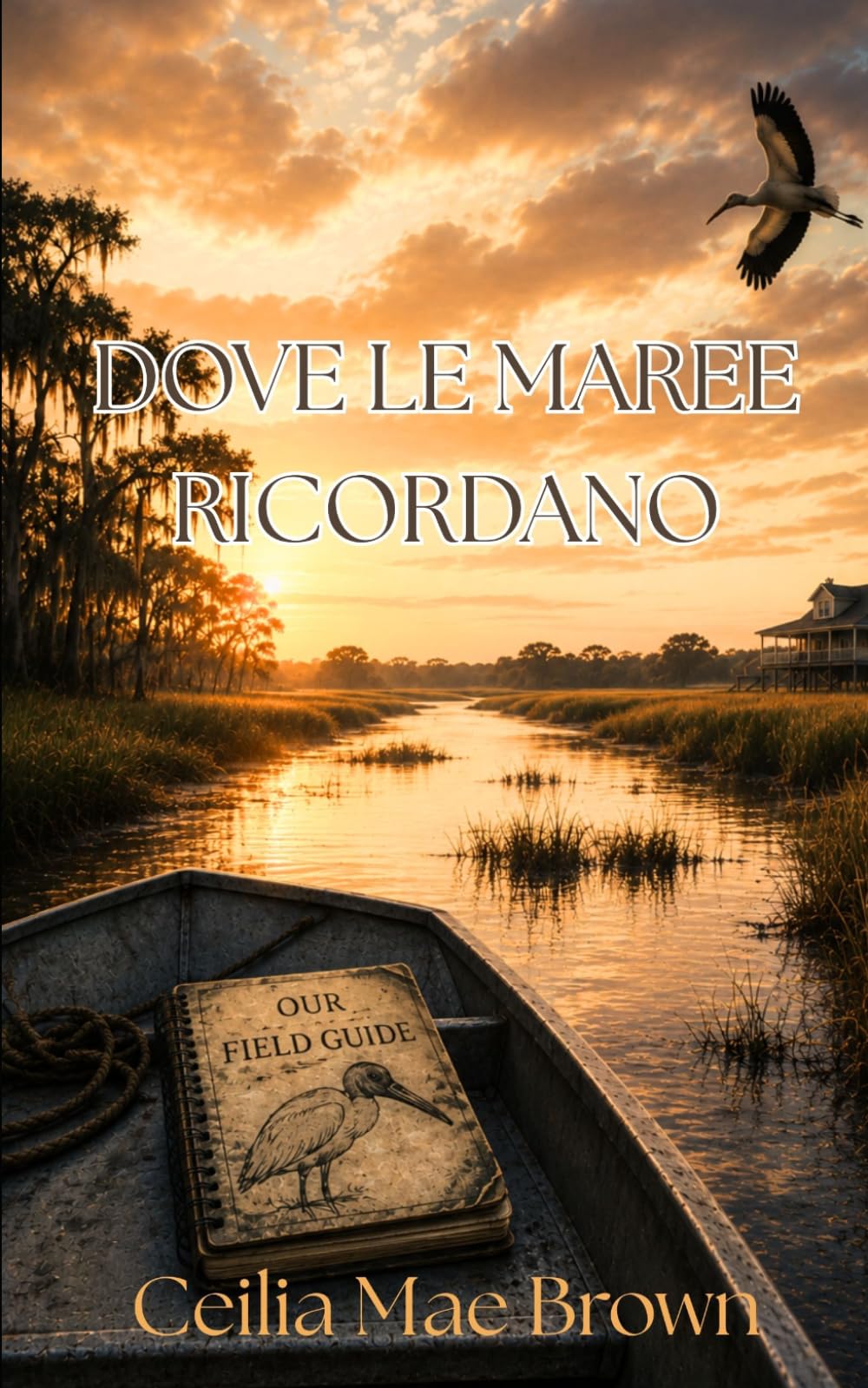 Dove le maree ricordano