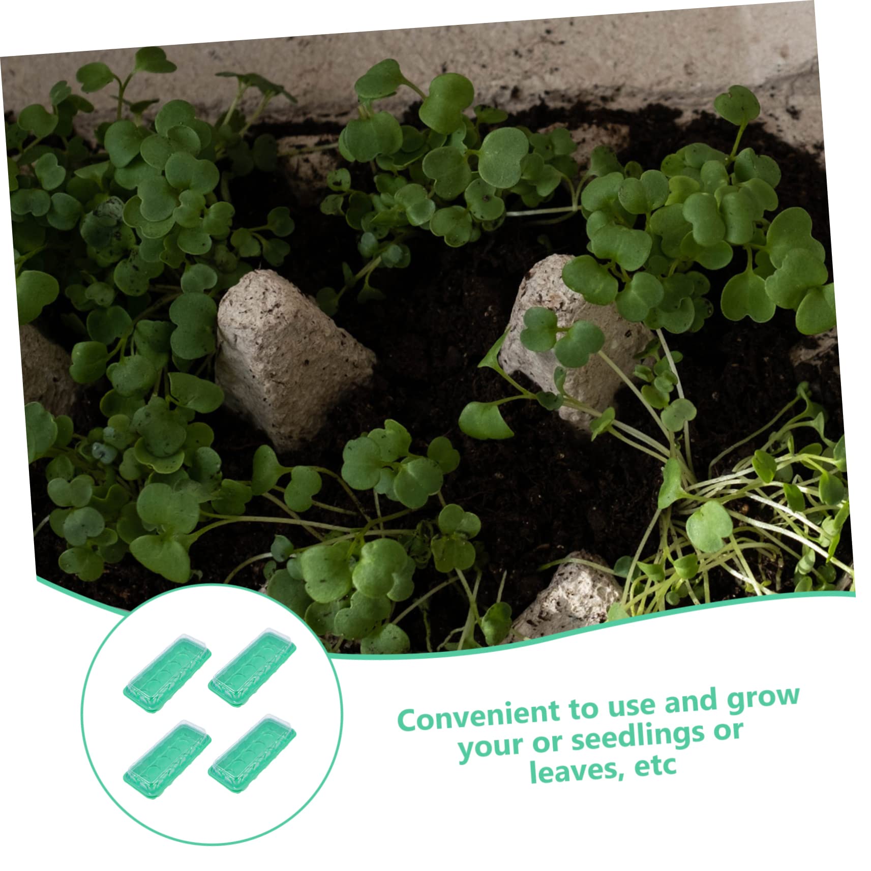 Toddmomy 8stücke Anzuchtboxen Praktische Keimungstrays Für Pflanzen Für Gartenbedarf Und Pflanzenwachstum Robuste Und Langlebige Ausführung