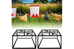 2-Piece Metal Stand for Chicken Waterers and Feeders: Heavy-Duty, Iron Support with...