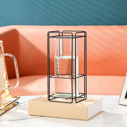 Miniatura 7 de Juego de 2 jarrones de cristal para sala de estar, dormitorio, 9.25 pulgadas, jarrones hidropónicos transparentes con marco de metal negro, paquete