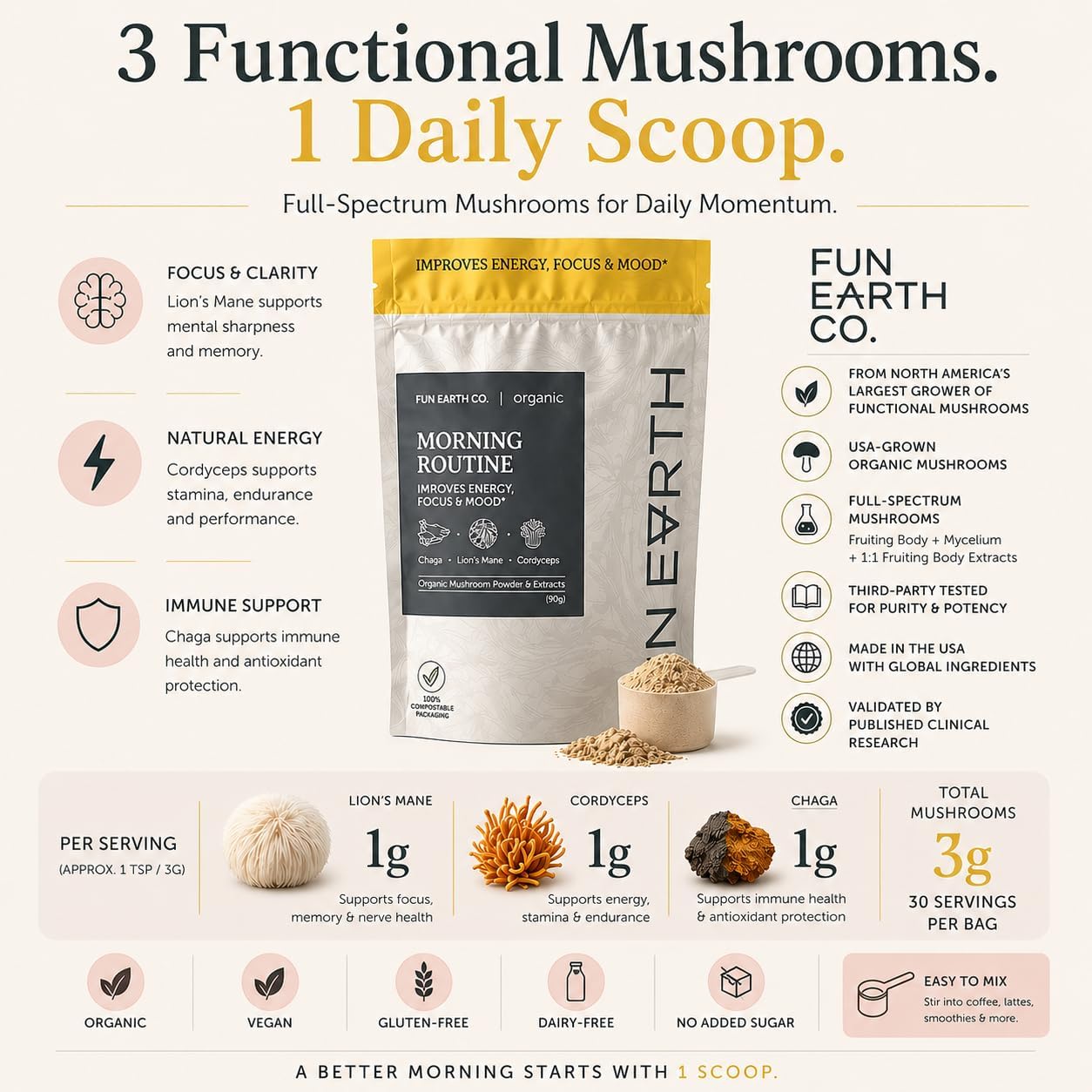 Morning Routine Mushroom | Lion’s Mane & Chaga Mushroom Powder 3.17 Oz image 4