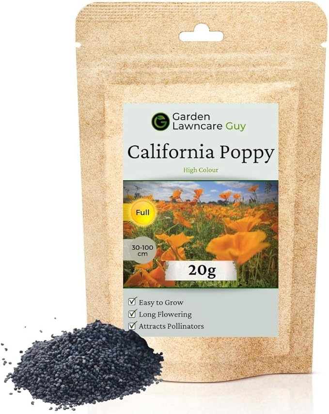California Poppy Flower Seeds for Planting UK Covers 10m² Easy to