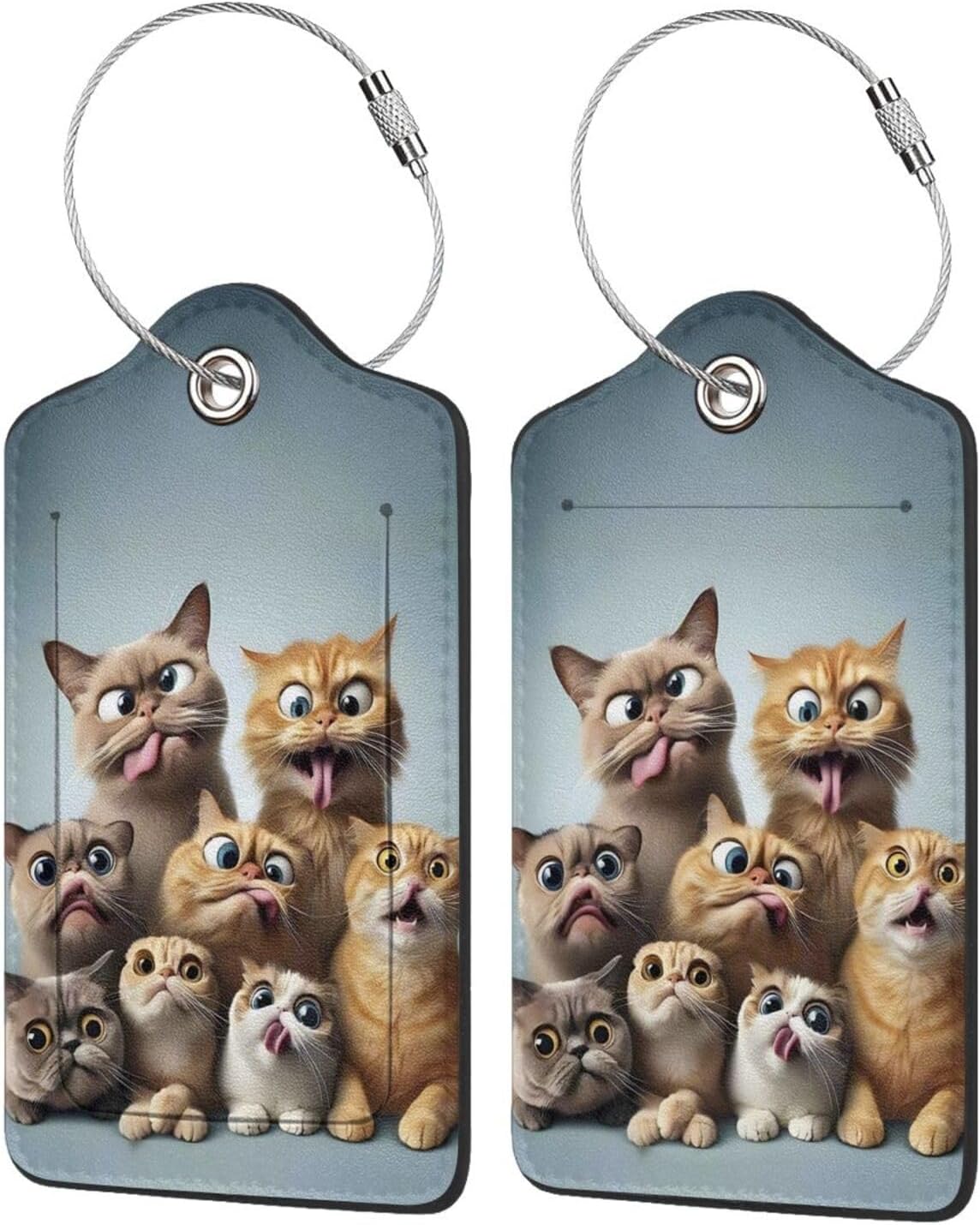Book 2 Pack Luggage Tag for Suitcase Label Cute Unique Leather Suitcase Tags Identifiers with PU Privacy Name Address Labels & Durable Steel Loop for Women Men Travel