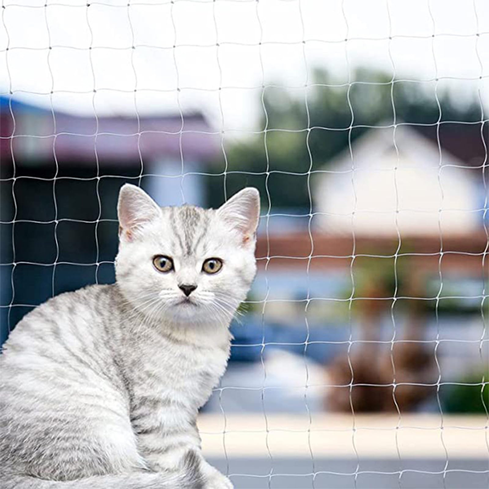 Rete Gatti, 4x3m Rete per Balcone Esterno, Rete Anti piccioni, con Rete Rinforzata - Installazione Senza Foratura, Resistente a Strappi/Morsi/Raggi UV - per Balconi Esterni, Scale, Finestre (6 x 3 m)
