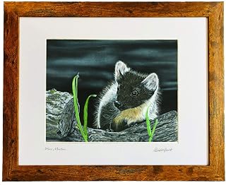 Pine Marten Print by UK artist Michelle Hewitt
