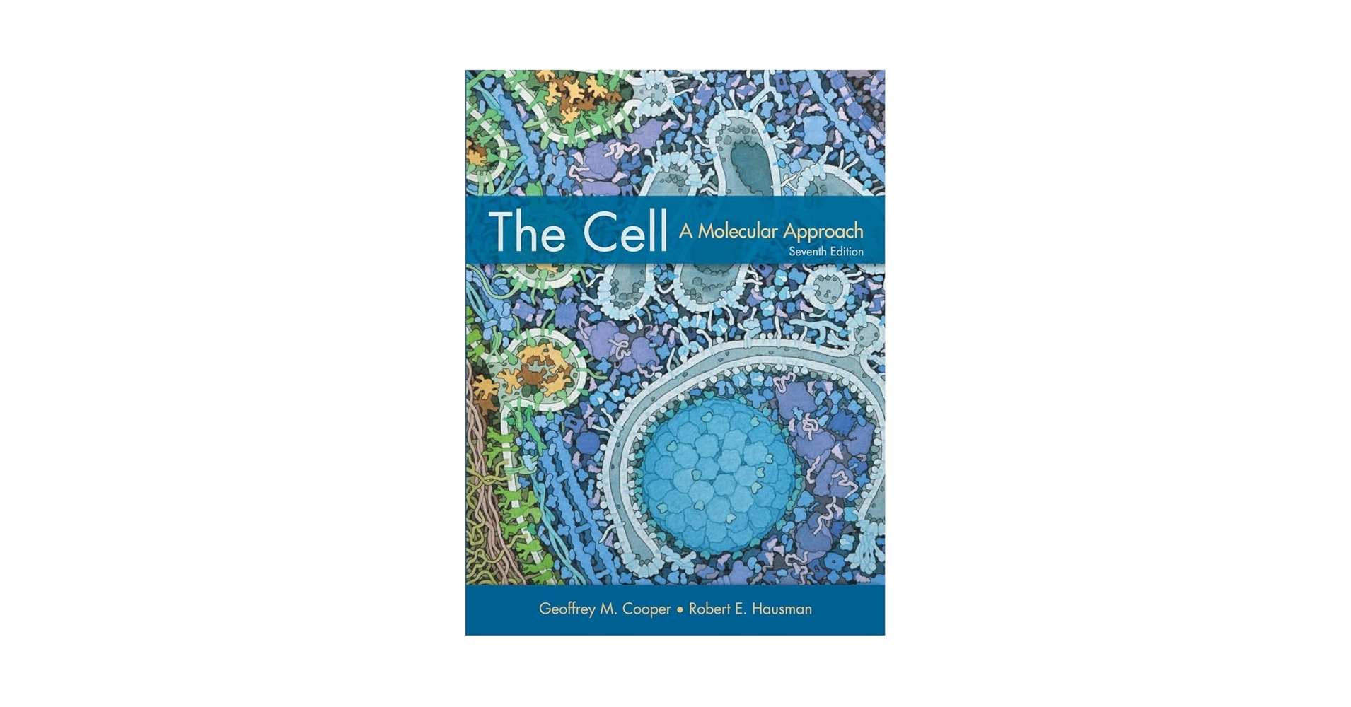 健康・医学 Molecular Biology of the Cell 7th ed. Amazon.com: Molecular Biology of the Cell eBook : Alberts