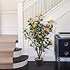 Product Photo 9