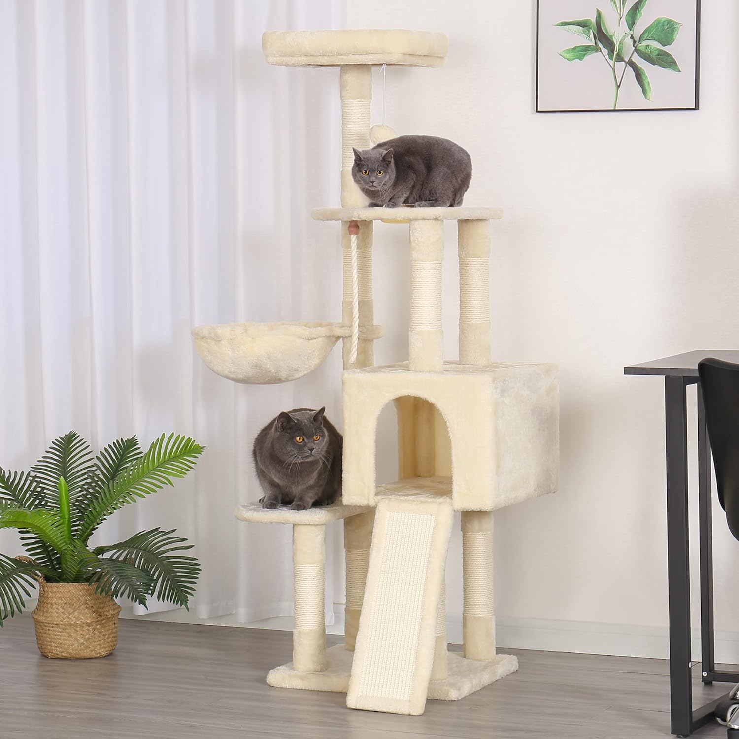 https://m.media-amazon.com/images/I/71bHFCgiZYL._AC_SL1500_.jpg