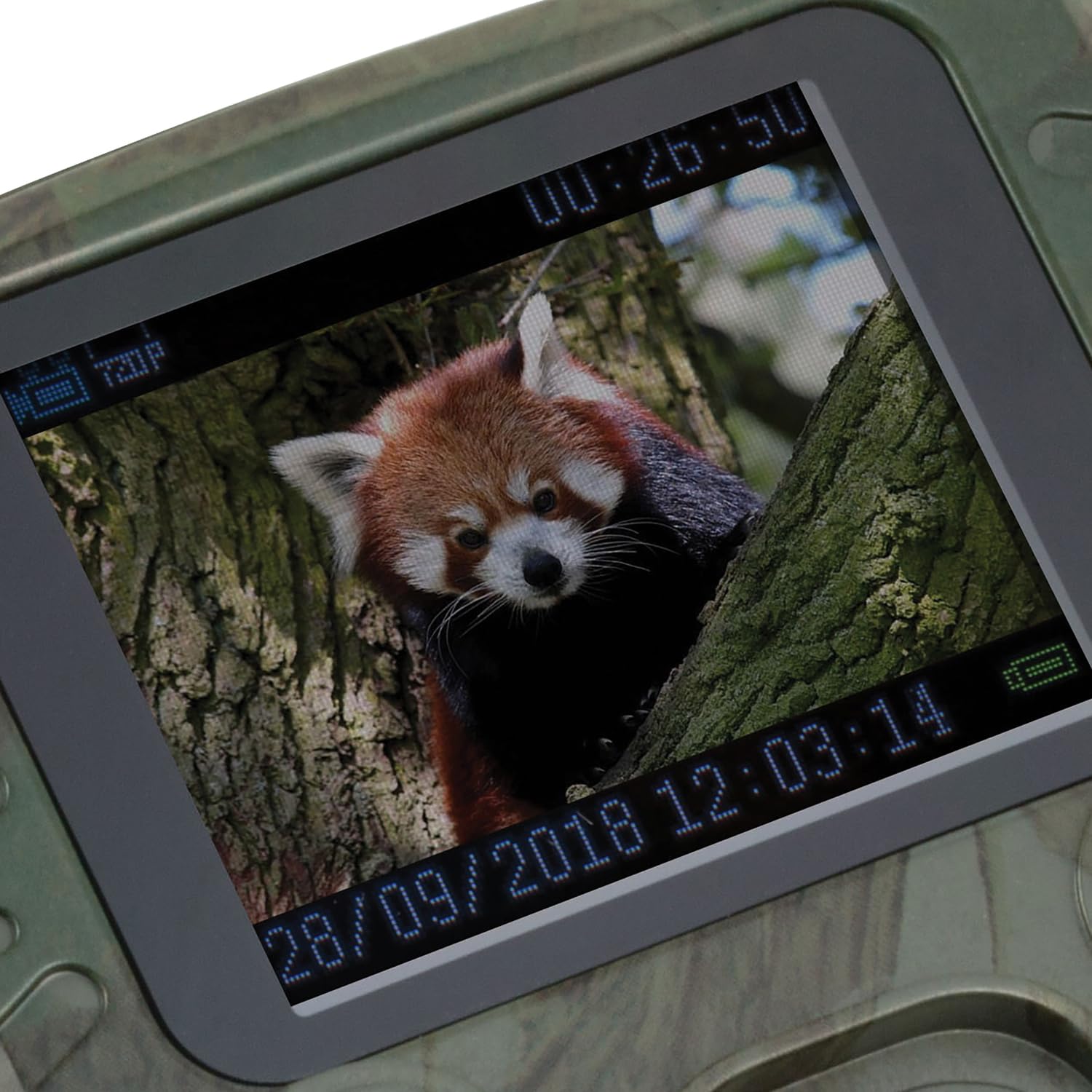 Technaxx Wildkamera mit Bewegungsmelder Nachtsicht PIR-Sensor IR LEDs Full HD Video Foto TFT Display Nature Wild Cam