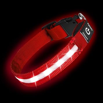 Super Bright LED Dog Collar - Fully Waterproof & Adjustable Glow Collar - USB-C Rechargeable for Night Walking, Safety - Flashing Lighted Collar for DogsRed,Medium