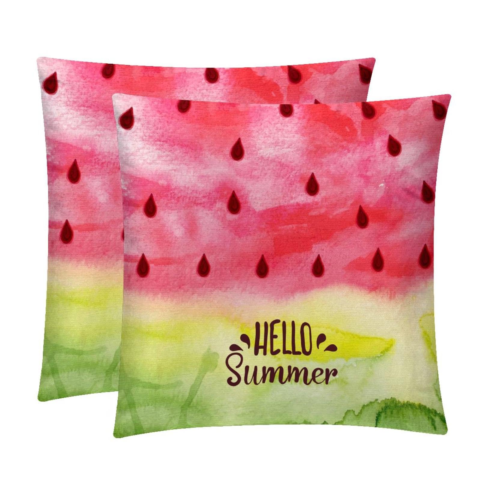 TDGKPZ Watermelon Throw Pillow Covers 2 Pack Cushion Cases Decorative Pillow Cases Home Decor 45x45cm