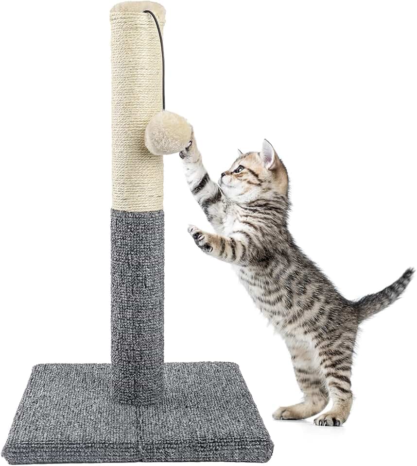 Amazon.co.uk Cat Scratching Posts Cat Scratching Posts / Cat Beds, Bedding & Furniture Pet