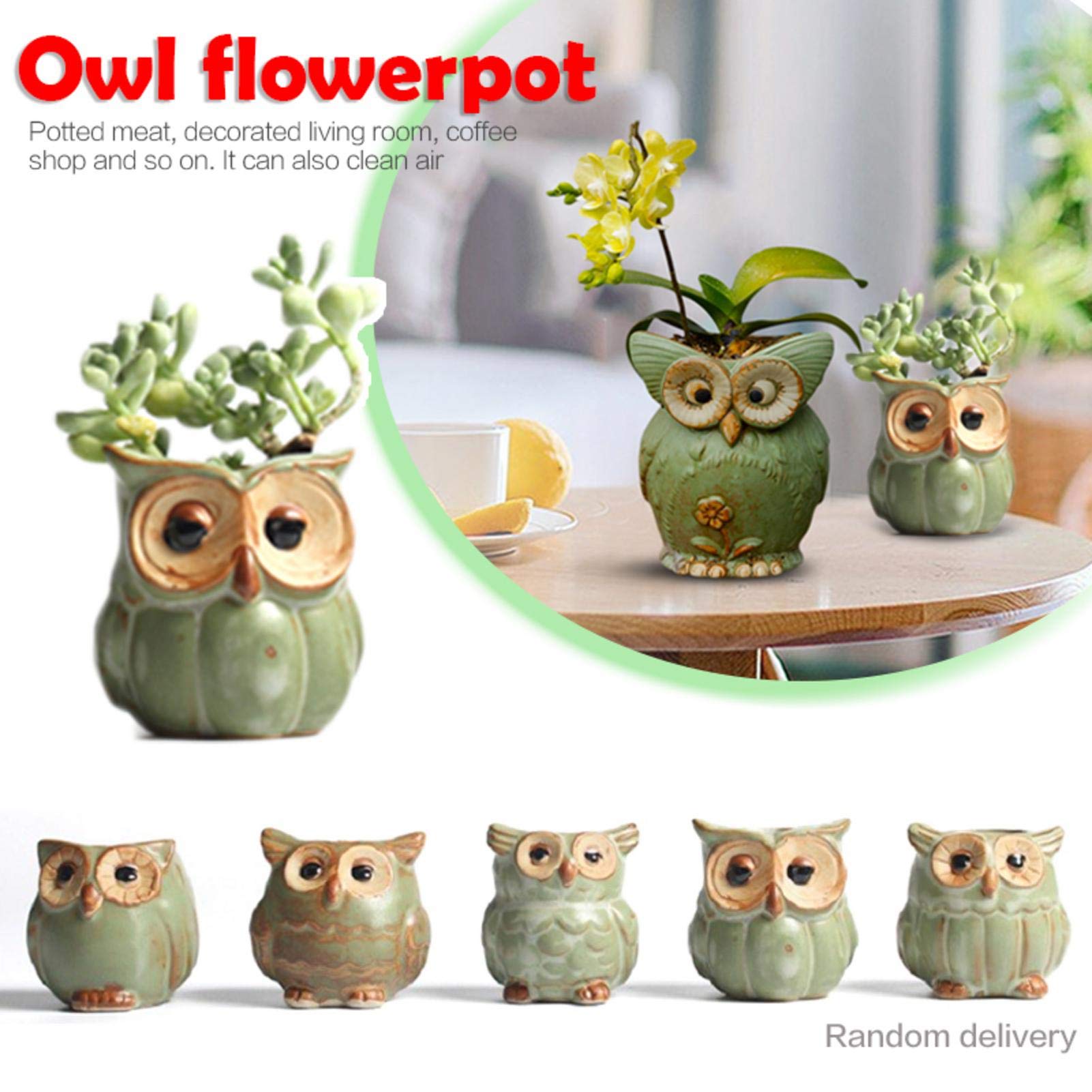 LOSOO Vaso da Fiori Cartoon Gufo A Forma di Pianta Succulenta Vaso di Fiori Decorazione della Casa Stili Casuali Consegna Piante in Vaso 6.6 Cm / 2.60
