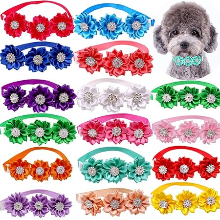 dogs items accessories