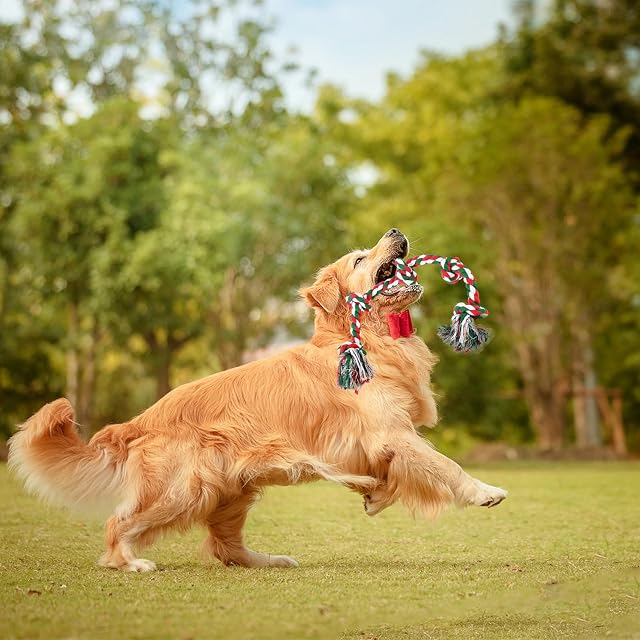 Foto 5 de 7 de Noaxylic Juguete para Perros, Toys Interactivo para Morder,3 Nudos Juguete de Cuerda, 52 cm