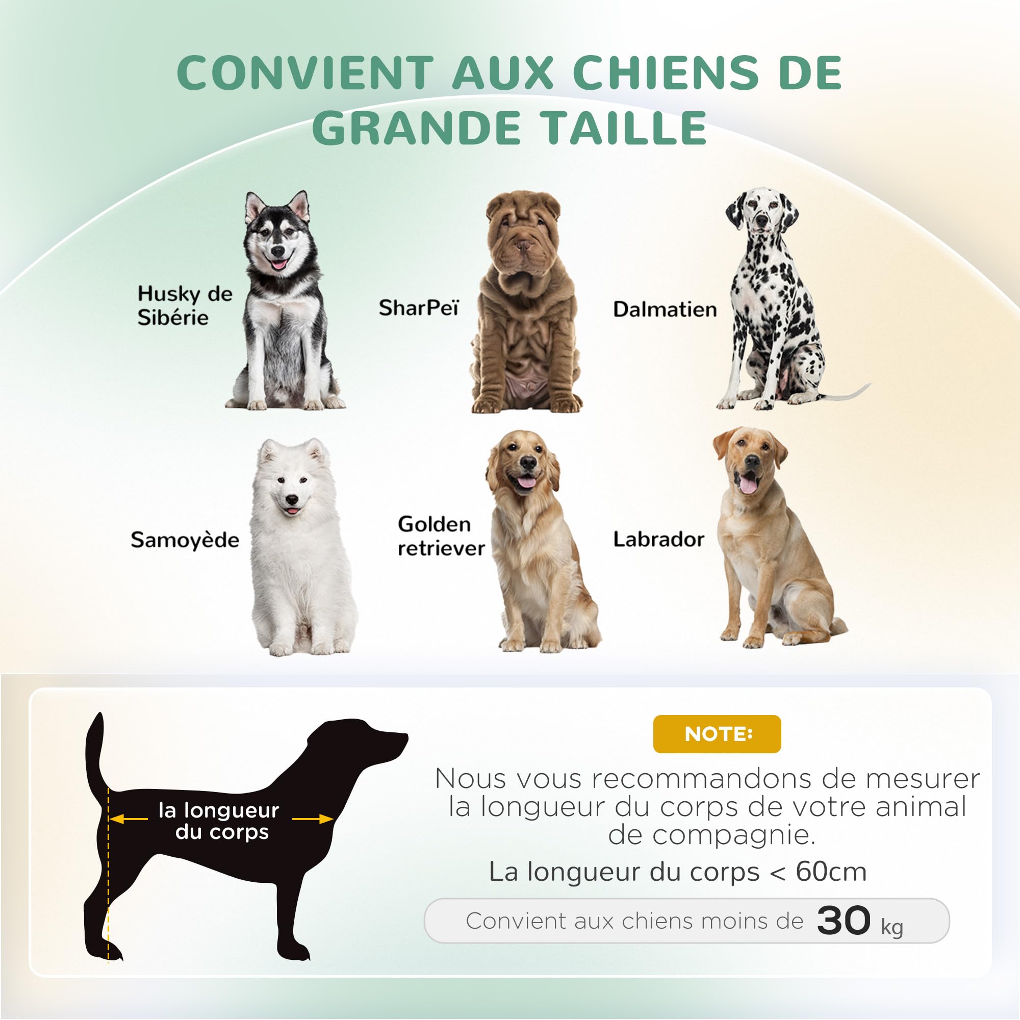 PawHut Canapé pour Chien, Sofa pour Chat, Fauteuil pour Chat, Surface en Velours Doux, avec Coussin Amovible, Pieds en Bois Massif, 100l x 70P x 25H cm, Vert