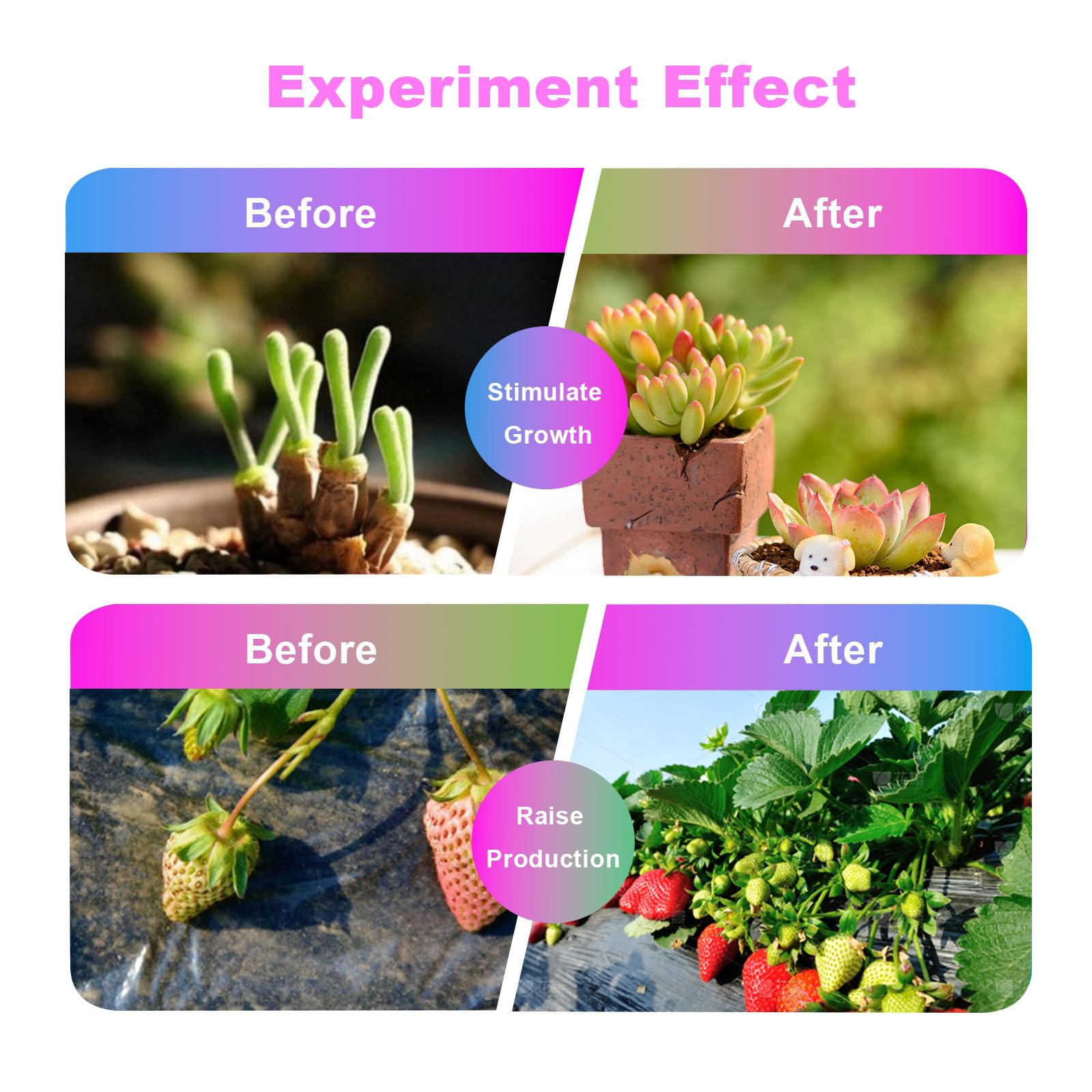 ANTELA Lámpara de Planta Interior LED Luz Morada,GU10 E27 Lampara Cultivo Espectro Completo Apto 3.5W para Todo Tipo de Plantas Pequeñas, Verduras y Frutas,5PCs