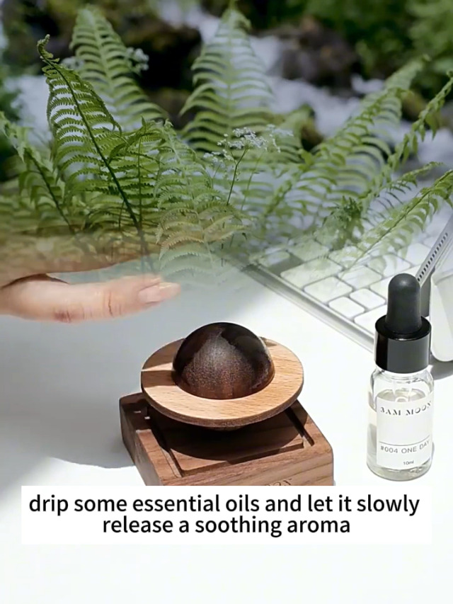 Amazon.com: TECHPLUS Planet Wooden Essential Oil Diffuser - Walnut