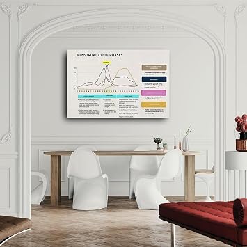 SSOPTMCB Understanding the Menstrual Cycle Poster Hormone Level Chart Educational Womens Health Wall-Art for Study Clinic Room(Unframed,08x12inch(20x30cm))